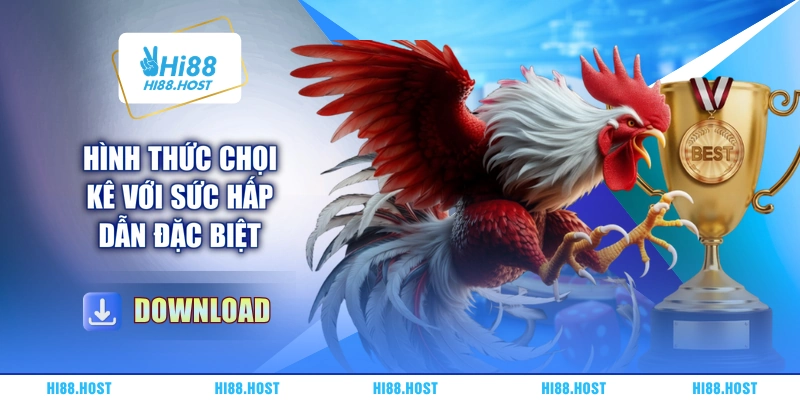 Hình thức chọi kê với sức hấp dẫn đặc biệt