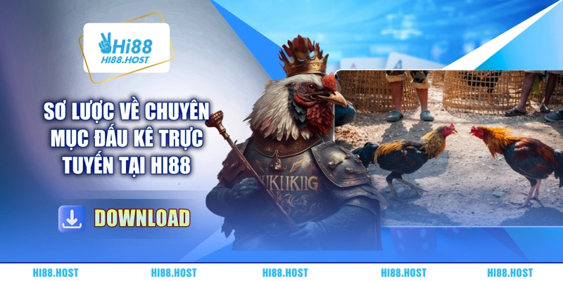 Sơ lược về chuyên mục đấu kê trực tuyến tại Hi88